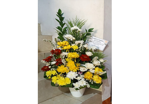 IMG-PRODUCT
