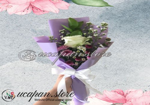 IMG-PRODUCT
